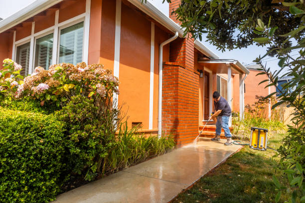 Best Best Pressure Washing Companies  in Hays, MT